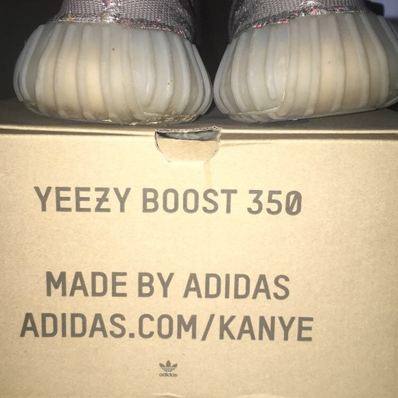 Yeezy Belugas - Picture 4 of 5